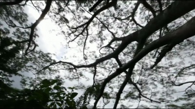 Buvette - The Goodbye Party