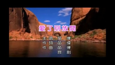 苗伟 - 爱了别放开