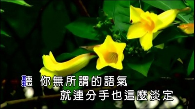 樱樱 - 蔑爱 (KTV版)