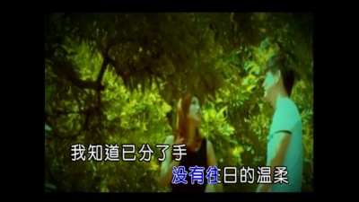 杨春辉 - 不要你的花言巧语 (KTV版)