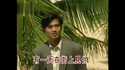 潘秀琼 - 意乱情迷 (KTV版)