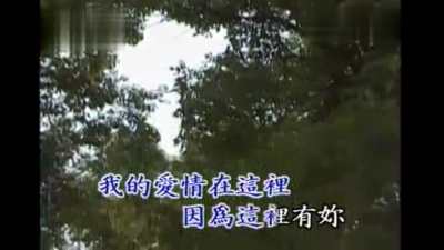 邓丽君 - 幸福在这里