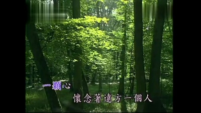 甄秀珍 - 相思林