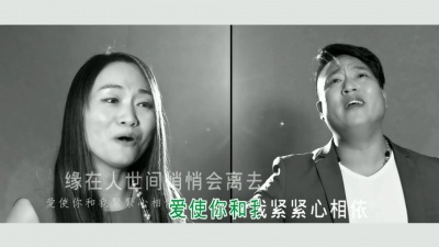 胡云鹏、杨会 - 翅膀羽翼之恋
