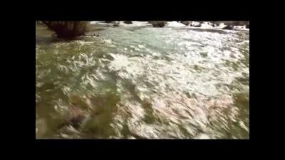 爱豆圈 - 白马非马