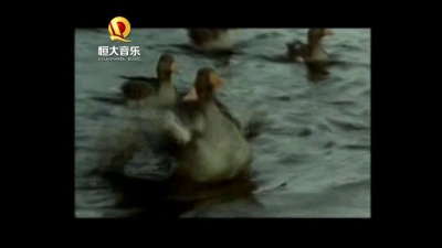 马蕊、任震昊 - 囚鸟