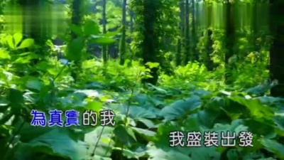 蔡淳佳 - 整装 (KTV版)