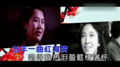 贾永久 - 再唱红梅赞 (KTV版)