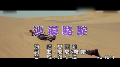 夏雨菲 - 沙漠骆驼