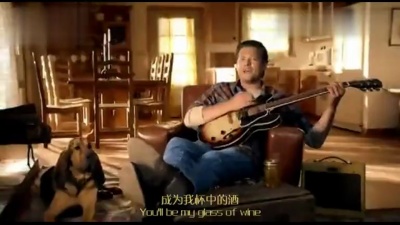 Blake Shelton - Honey Bee