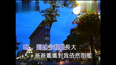 张琍敏 - 幽默曲