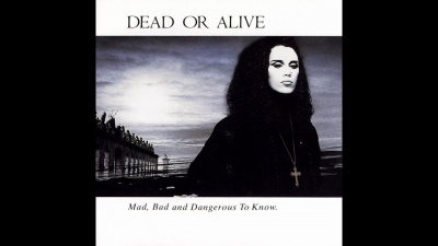 Dead or Alive - Son of a Gun