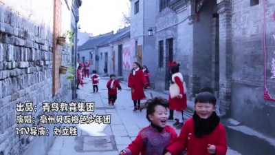 仉上明珠 - 过年好 年年好