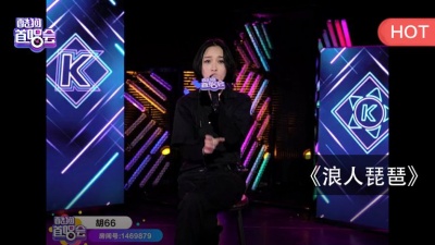 胡66 - 浪人琵琶