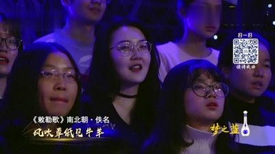 谭维维、经典咏流传 - 敕勒歌