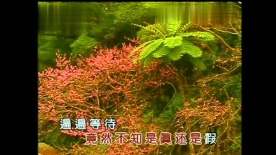林翠萍 - 我太傻