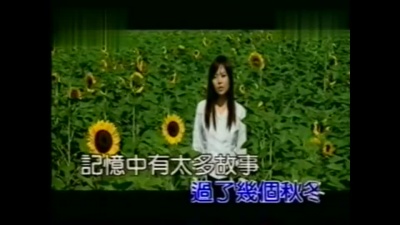 林子娟 - 感动 (KTV版)