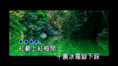 降央卓玛 - 红梅赞
