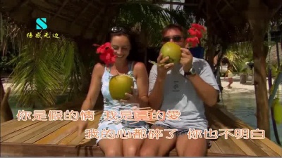 张玮伽 - 假情真爱