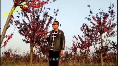张建磊 - 流逝的青春