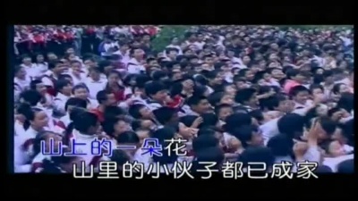 陈星 - 鸟语花香