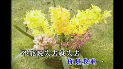林翠萍 - 不要离去