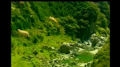 邓丽君 - 情迷