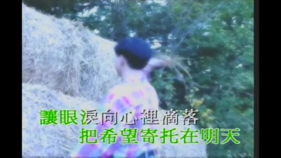 邓丽君 - 如果没有你
