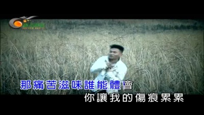 安东阳 - 一只蝴蝶