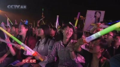 刘若英 - 爱的代价