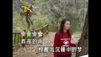 卓依婷 - 风中的承诺