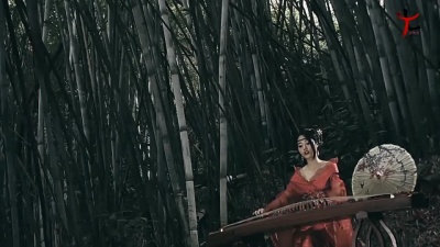 彭筝 - 太想念