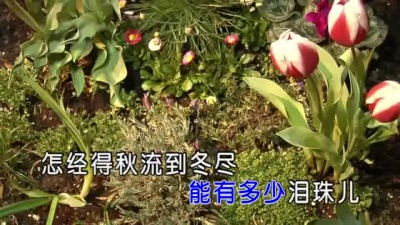 郑绪岚 - 枉凝眉