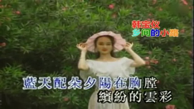 韩宝仪 - 乡间的小路