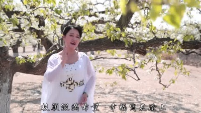 宋弘莉 - 梨乡情