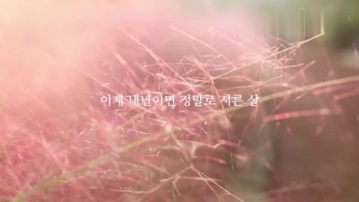 惠化洞少年 - 30