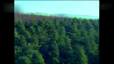 LINDBERG - 風