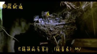 澄月诗下逸影 - 轻快的飞鸟MV