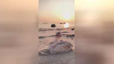 一碗悠悠 - 夕阳无限好