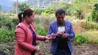 许志刚 - 帮扶
