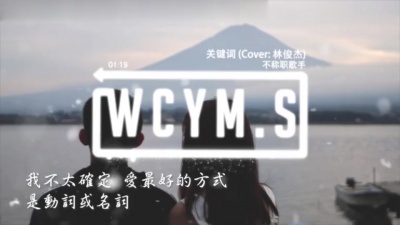 不称职歌手 - 关键词