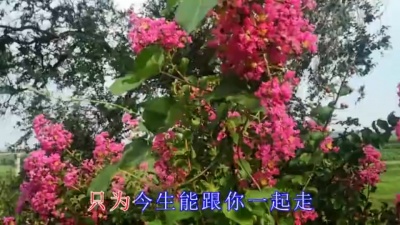 付海燕 - 为你一生去守候