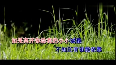 孙露 - 囚鸟