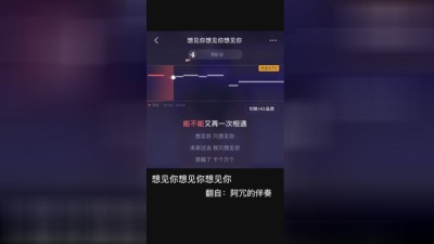 黄小彭 - 黄小彭 想见你想见你想见你