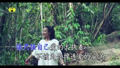 刘曦 - 只怪自己太执着