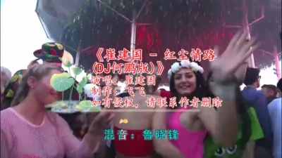 崔建国 - 红尘情路