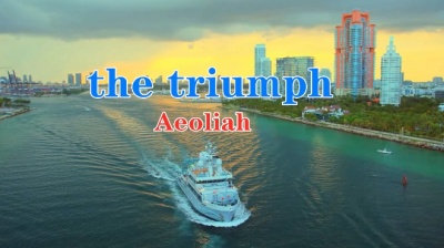 Al木木林 - Aeoliah《the triumph》-炎炎夏日特别适合倾听治愈身心的轻音乐