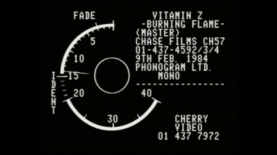 Vitamin Z - Burning Flame