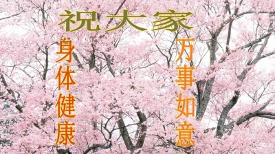 音乐分享人 - 年初六，一首《开心又一天》祝您家庭幸福，身体健康，万事如意