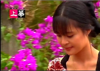 高胜美 - 我是不是该安静的走开